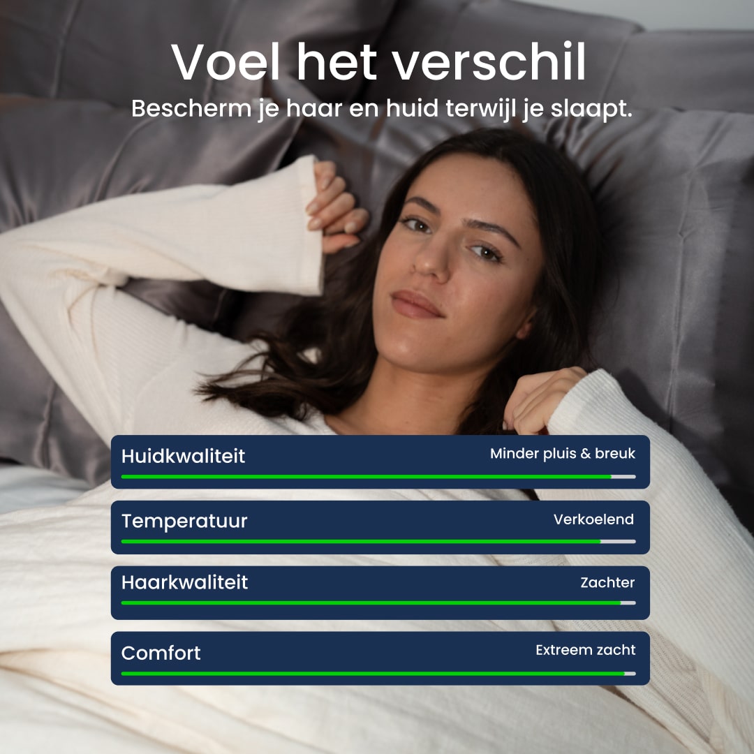 kussenhoes grijs dreameaze zijde